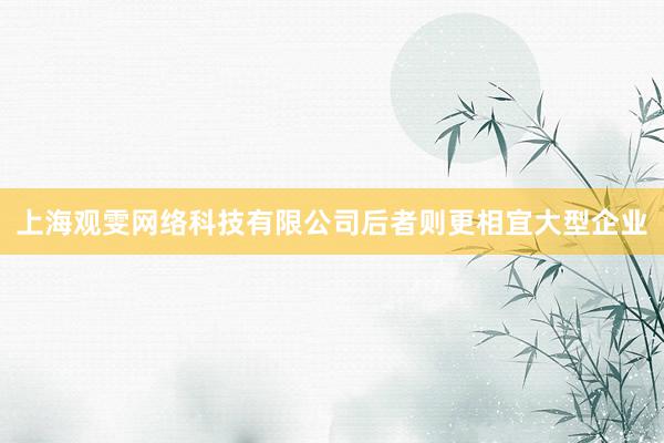 上海观雯网络科技有限公司后者则更相宜大型企业